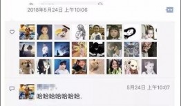 二哥微博爆料视频大全最新,揭秘娱乐圈幕后真相